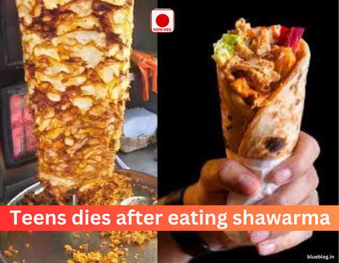 Investigation Underway: Teen Dies After Consuming Shawarma Roll in Mumbai