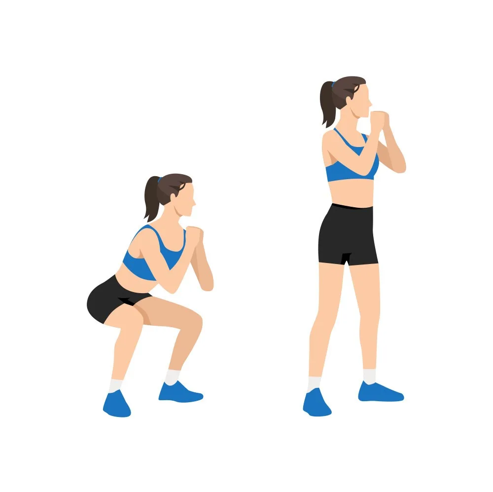 woman doing bodyweight squats exercise vector 38061596 jpg